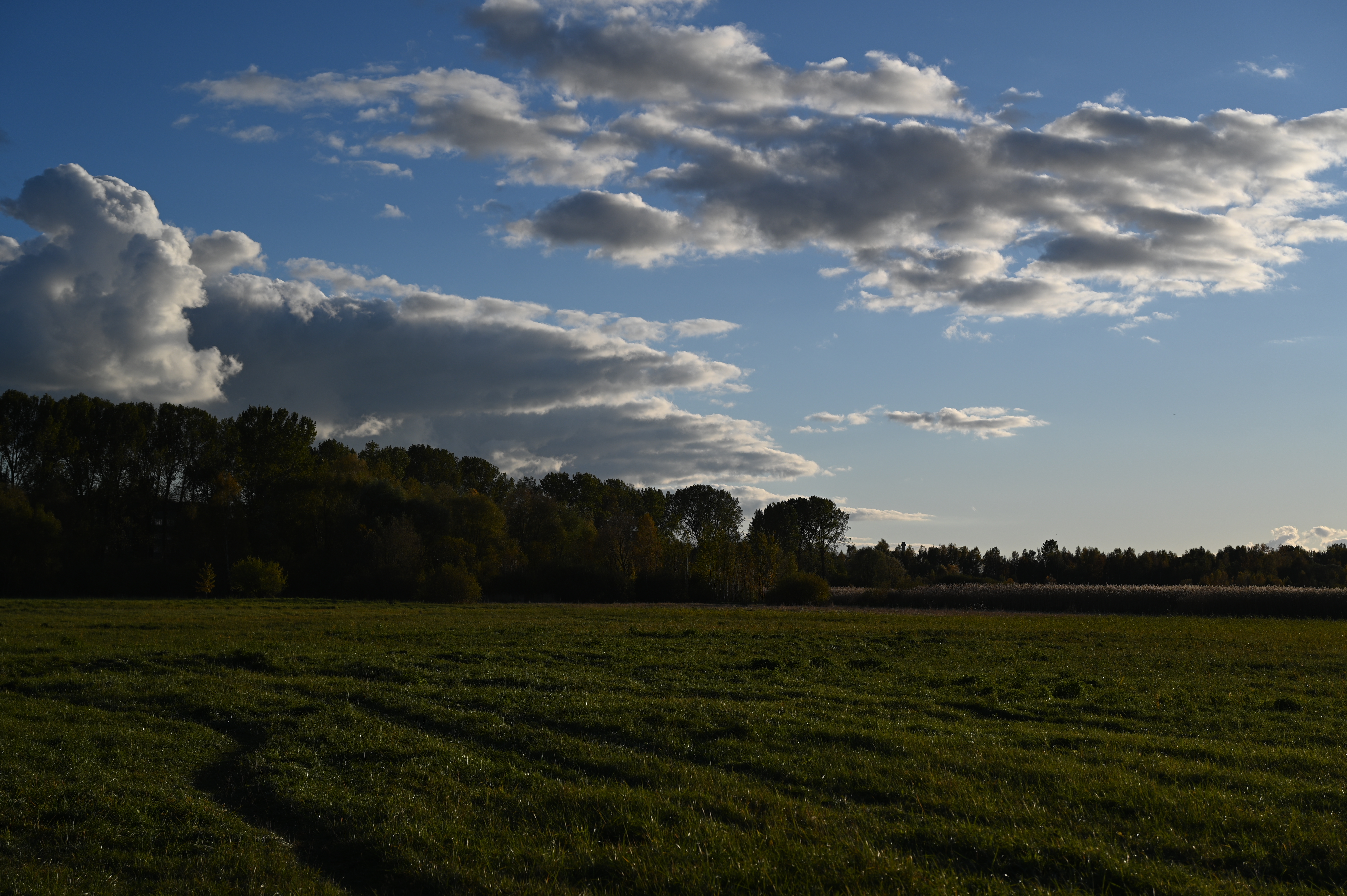 2025/10/18 - walk/DSC_0160.JPG